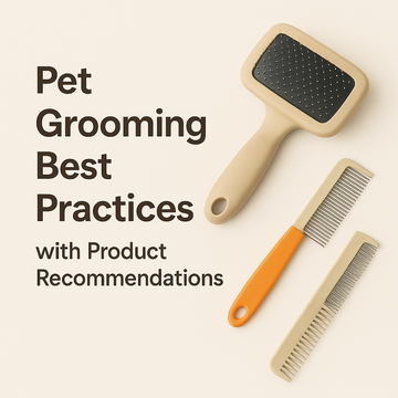Eco-Friendly Pet Care Tips for Sustainable Pet Ownership