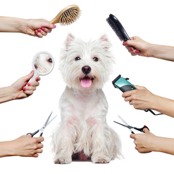 Pet Grooming and Wellness