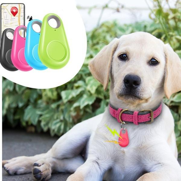 Pet Smart GPS tracker