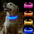 USB Rechargeable LED Dog Collar – Flashing Luminous Safety Light-up Nylon UK