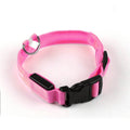 USB Rechargeable LED Dog Collar – Flashing Luminous Safety Light-up Nylon UK