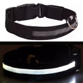 USB Rechargeable LED Dog Collar – Flashing Luminous Safety Light-up Nylon UK