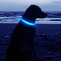 USB Rechargeable LED Dog Collar – Flashing Luminous Safety Light-up Nylon UK