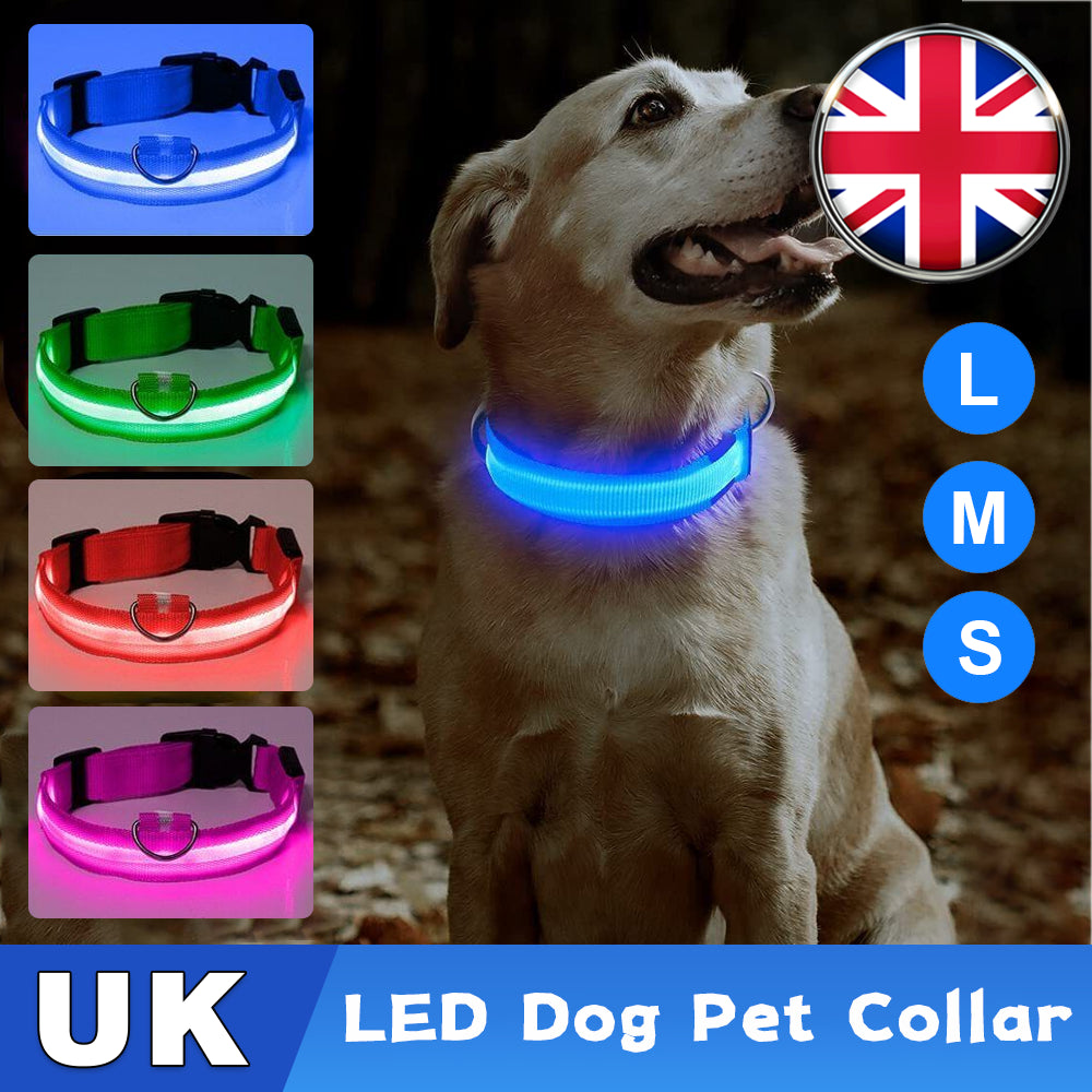 USB Rechargeable LED Dog Collar – Flashing Luminous Safety Light-up Nylon UK