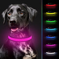 USB Rechargeable LED Dog Collar – Flashing Luminous Safety Light-up Nylon UK