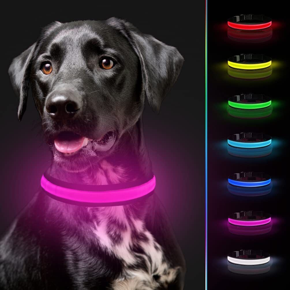 USB Rechargeable LED Dog Collar – Flashing Luminous Safety Light-up Nylon UK