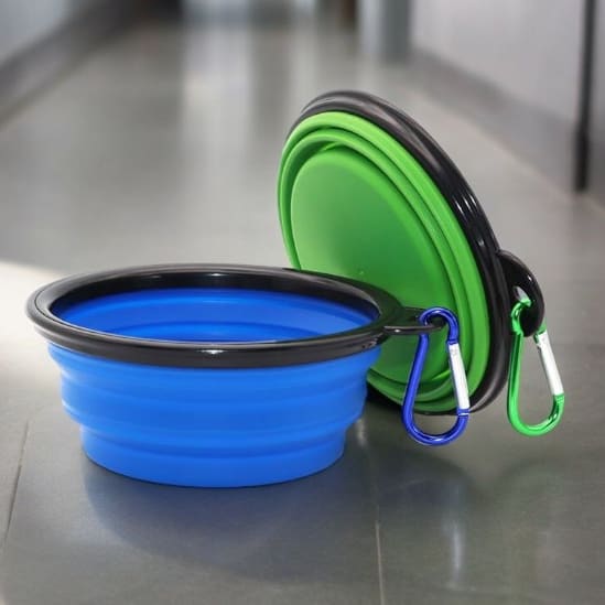 Colourful Pet Bowl