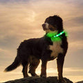 USB Rechargeable LED Dog Collar – Flashing Luminous Safety Light-up Nylon UK