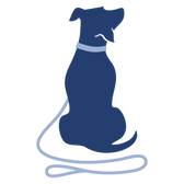 Aplusnest