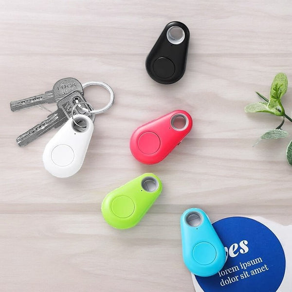Pet Smart GPS Tracker